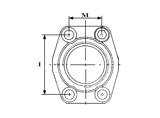 Portflens RG 6000PSI 1" metr.bolter CFS403GM-1"